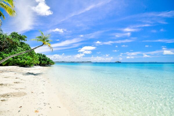Goa Beach Paradise